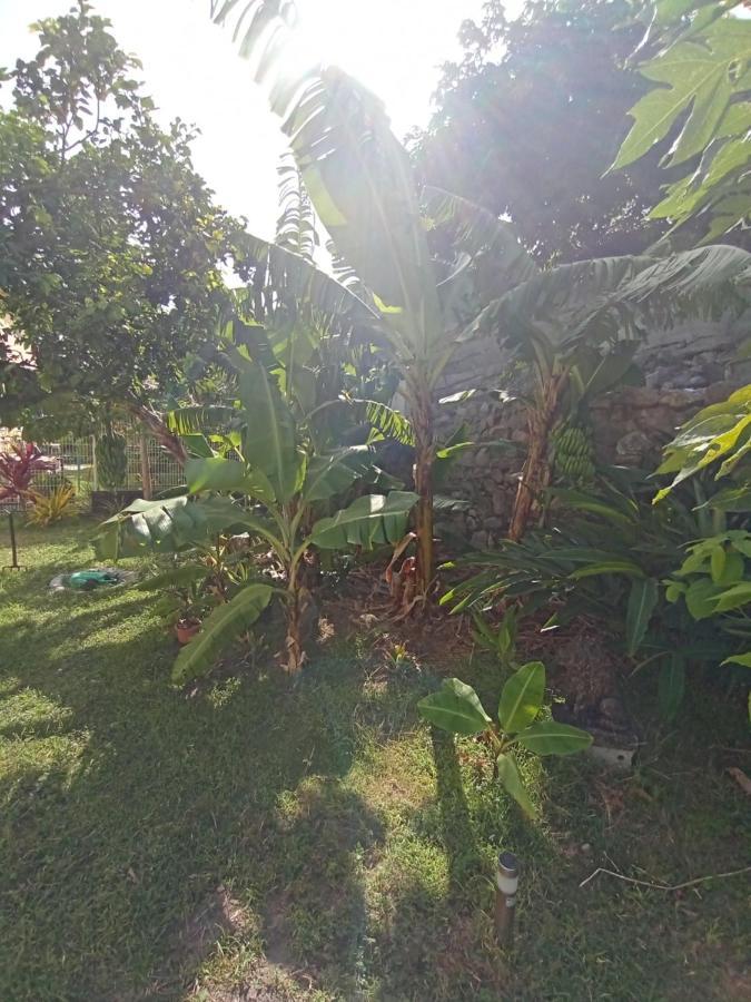 Le Goyavier Apartman Saint-Pierre Kültér fotó
